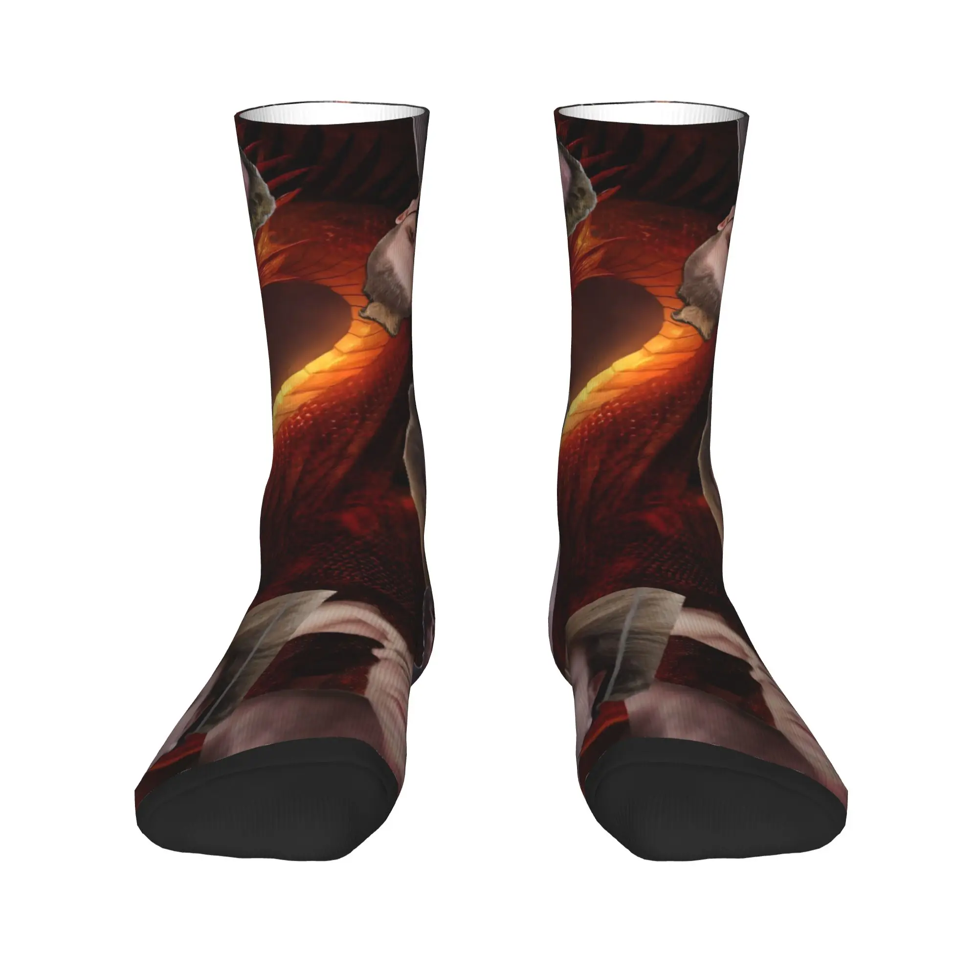Drachenlord Poster   Socks  Design Stockings Anti Skid Women Men Socks Warm Soft Autumn Korean Climbing Socks