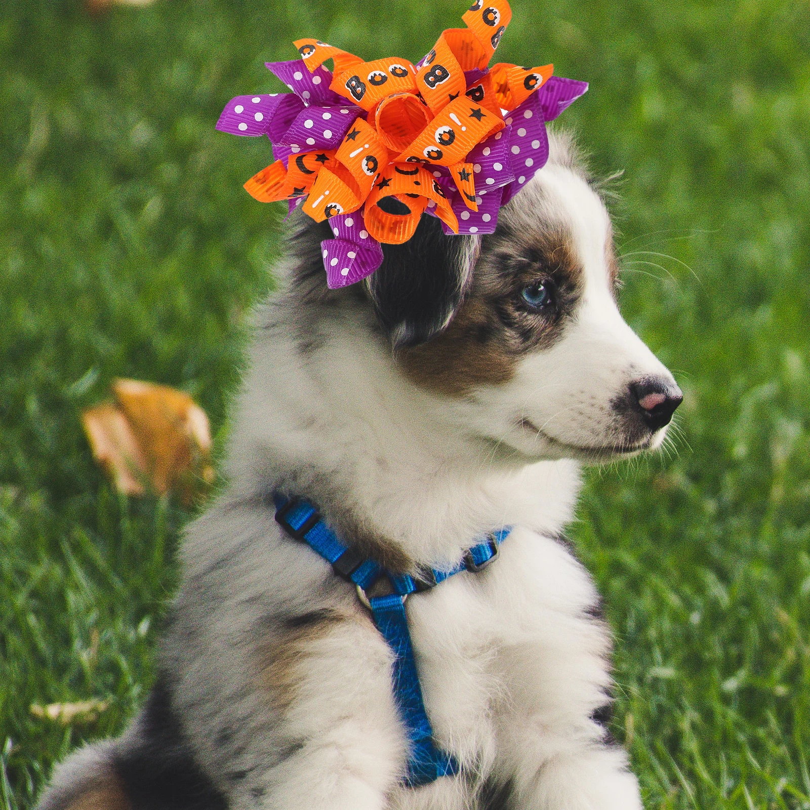 

10pcs Pet Bow Halloween Dog Grooming Bows For Pets Bows Decor Supplies Grooming Accessories Costume Pets