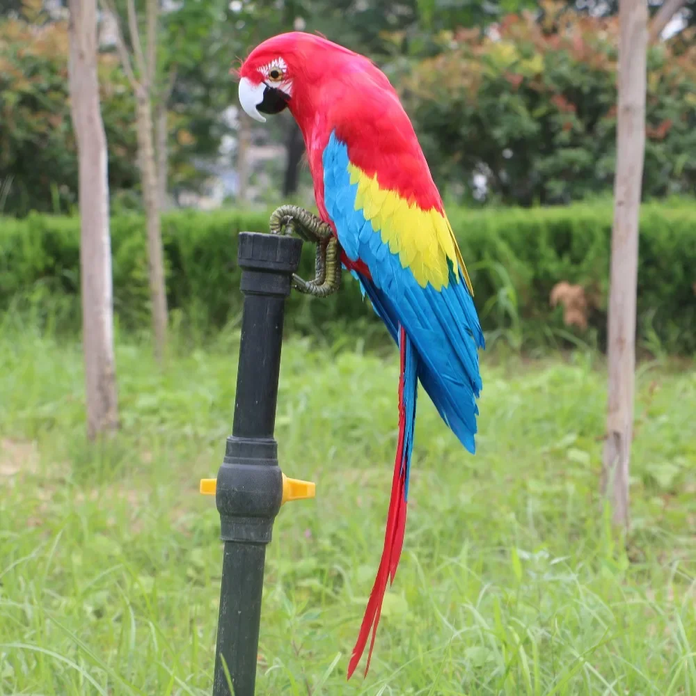 

6 Style Artificial Big Parrot For Home Yard Garden Decoration Simulation Birds Room Decor Accessories Modern Figures Office