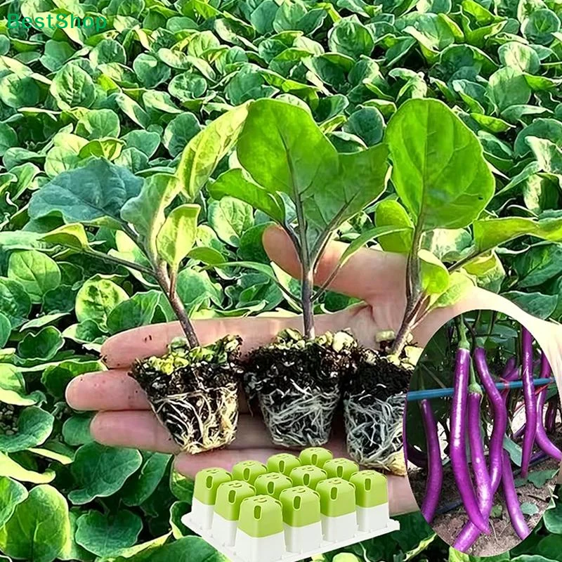 Zestaw do wysiewu nasion: mini – Dome Propagation Kit recenzja i cena
