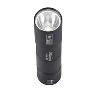 365nm UV Flashlight USB Rechargeable Mini Palm Ultraviolet Nail lamp Torch Pets Urine Cat tinea Money Ore Marker Detection Light 5