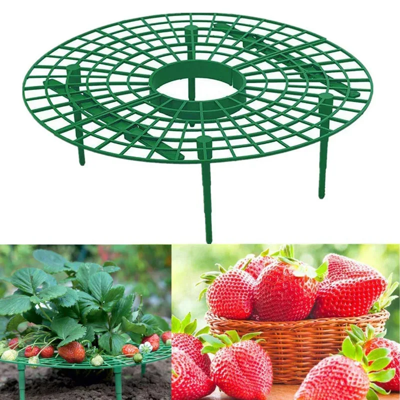 5/10Packs Round Strawberry Support Stand Holder Growing Frame Keep Berries Clean
