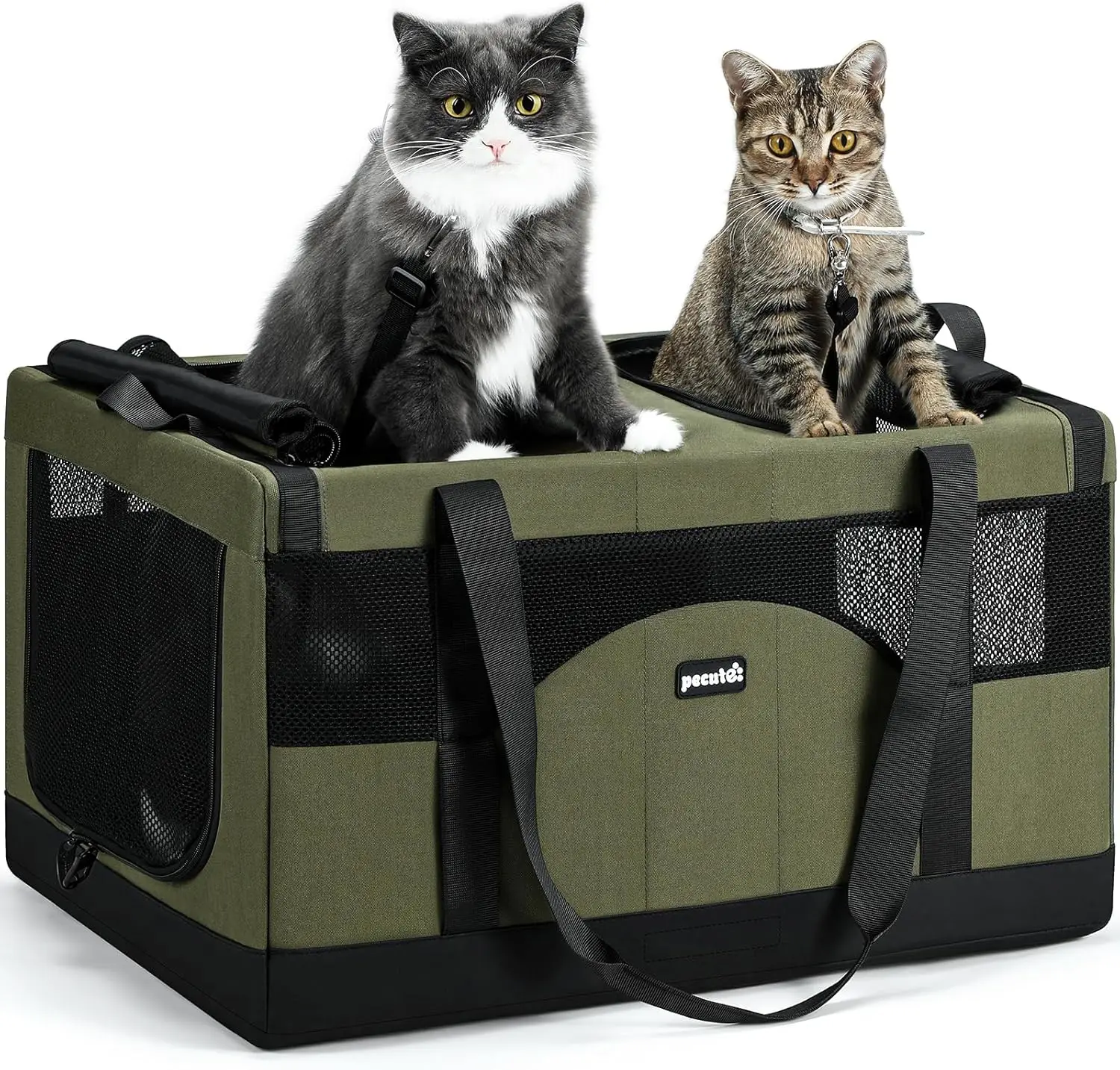 

Collapsible Dual Pet Carrier for Cats & Small Dogs, Steel Frame Travel Crate with Car Safety Design, Green