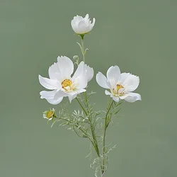 6Pc/lot Artificial Large Cosmos 4 Forks Gesang Flower Bridal Bouquet Accessories Wedding Table Decoration Party Home Silk Flower