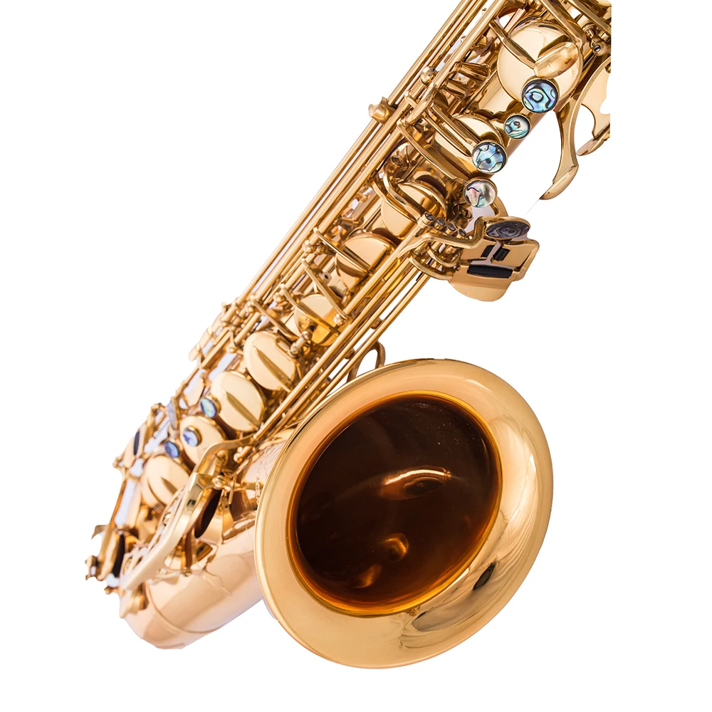 Saxophone Price Directly Selling Famous Like Brand Alto Saxophone