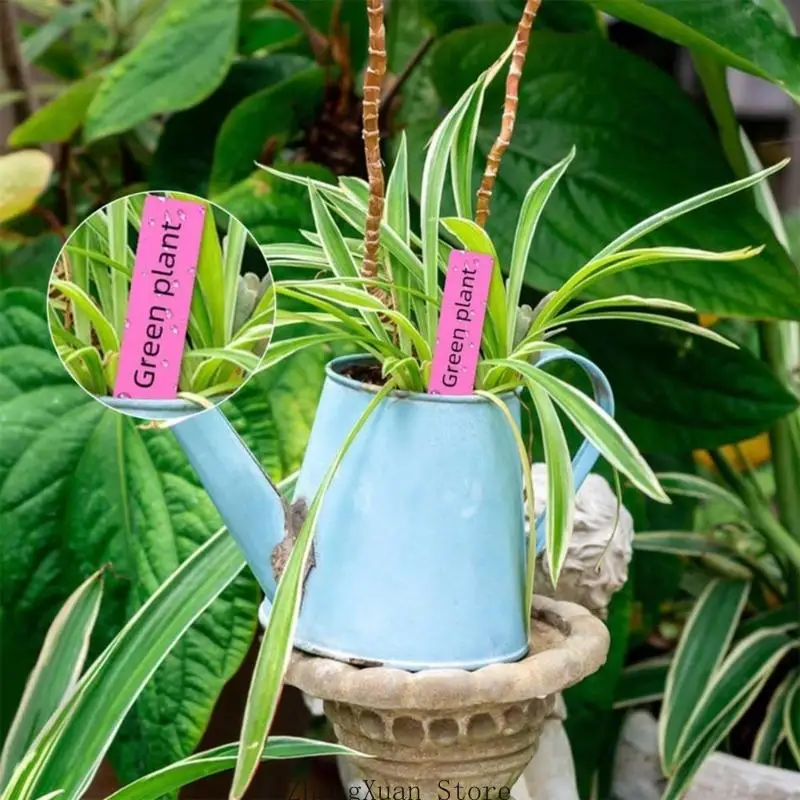 600pack Thick Garden Labels Reusables Nursery Markers Plastic Plant Sign for Organizing Crops and Seedlings 3XUF