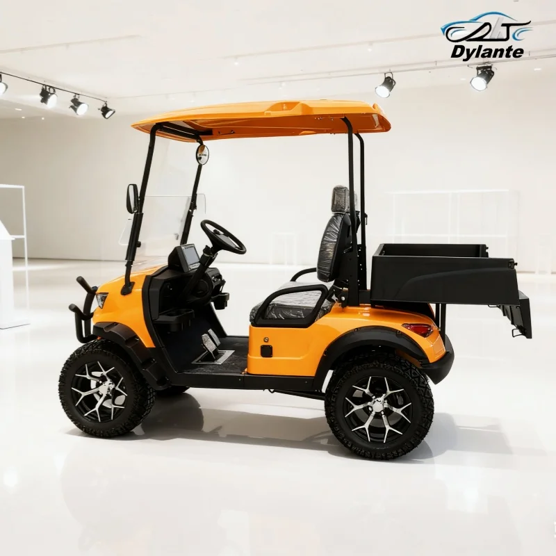 China Best Sellers Lifted 2 4 6 8 Seater Golf Buggy High Popularity Falcon With Front Bumper And Front Basket Electric Golf Cart