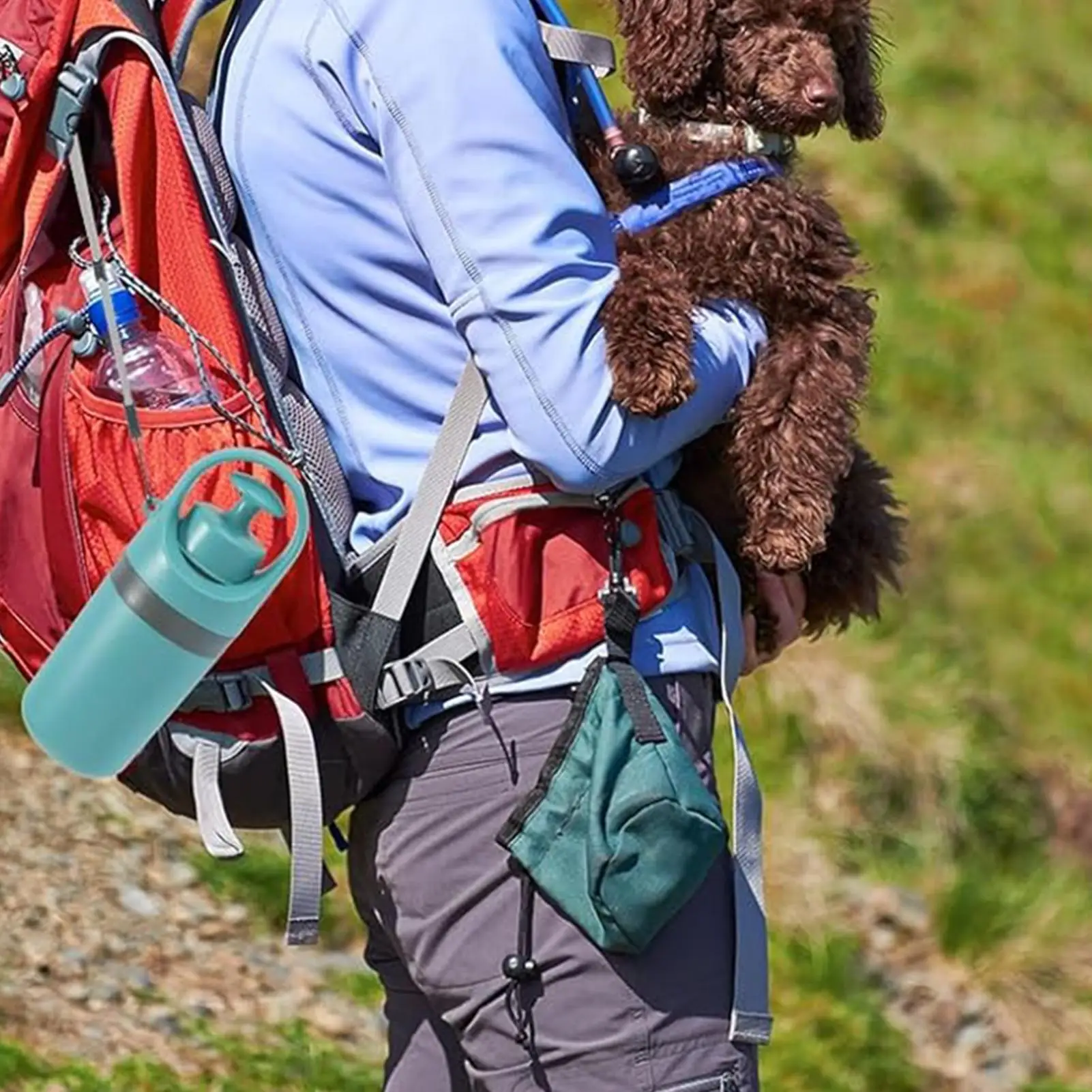 Thumbnail 2 - #24 Highest Rated Dog Poop Scoopers to Buy in 2026