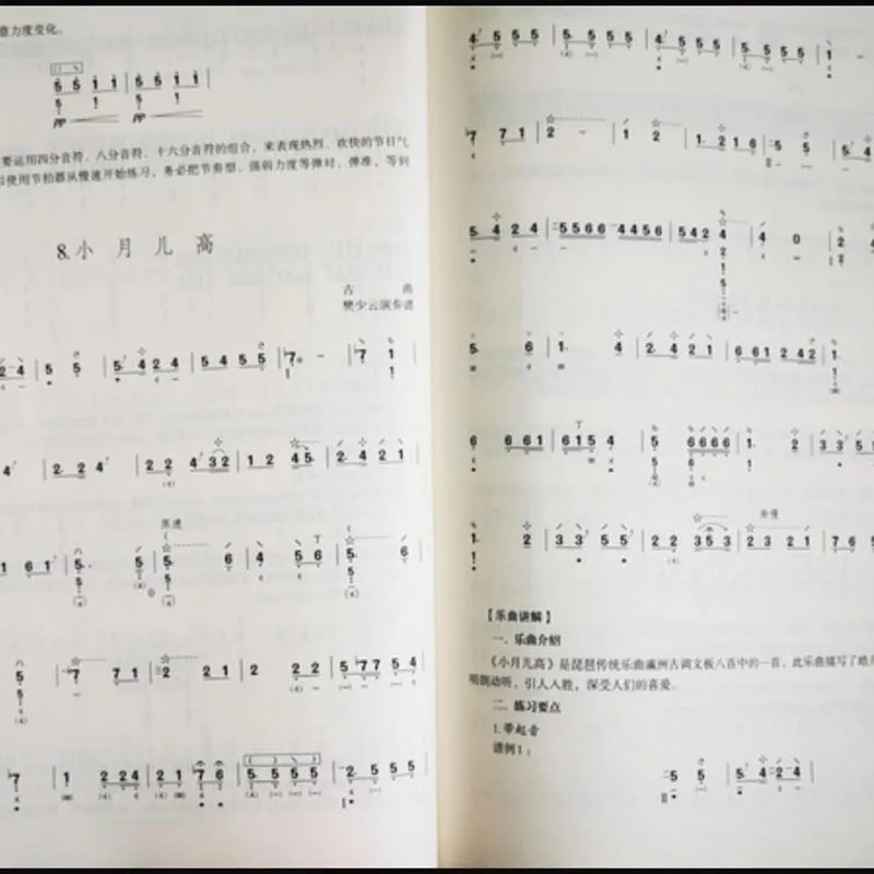 Pipa Basic Training Etudes Book, Foundation Technique Exercises Sheet Music for Beginner Adult Self-Study Guide