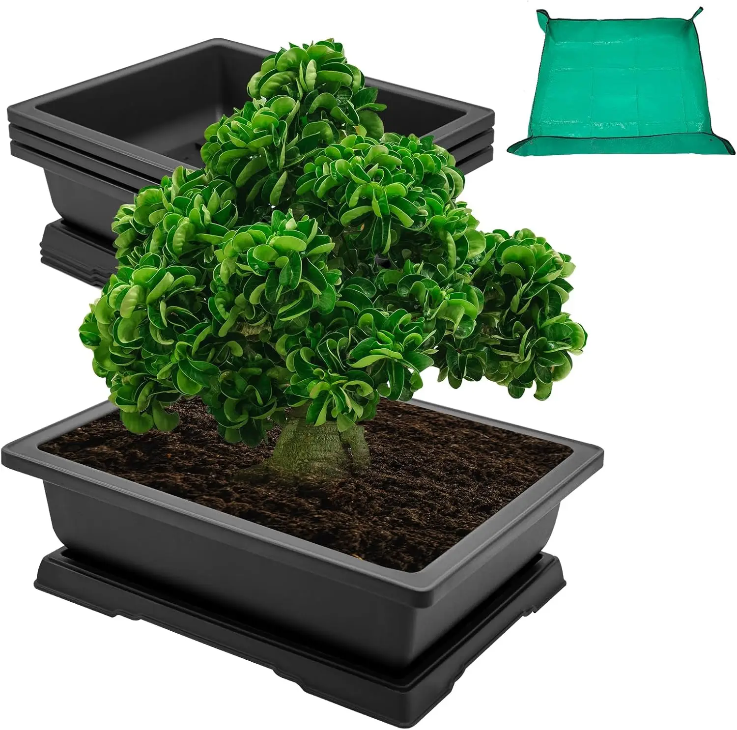 

Large Bonsai Training Pots 3 Packs 14 Inch with Drainage Humidity Trays, Bonsai Tree Starter Kits with 1 Repotting Mat,