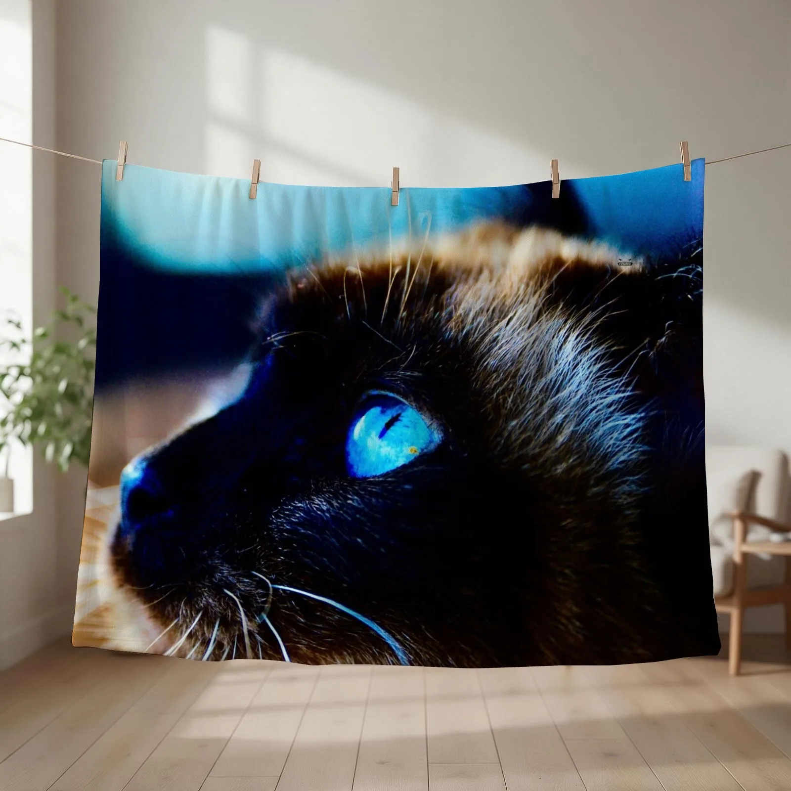 Siamese cat blue eyes / Swiss Artwork Photography Throw Blanket Flannel Fabric Beautifuls anime Cute Blankets