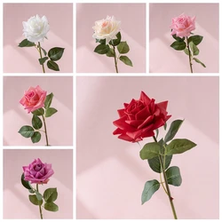 Light and Moon Curled Rose Flower Home Garden Flower Green Plants Flower MW60003
