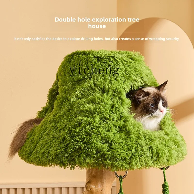 FY1 Cloud Ladder So… - image