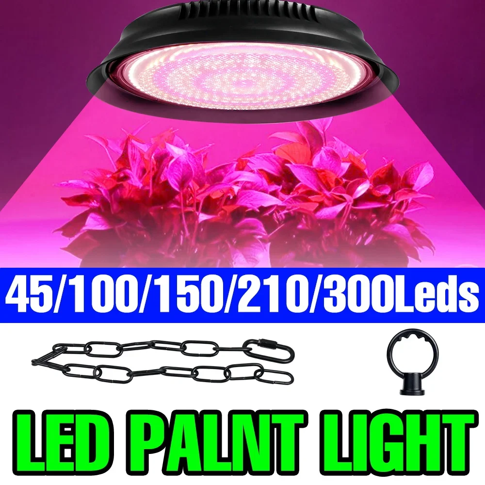 

Full Spectrum LED Plant Grow Lamp Indoor 100-277V Hydroponic Planting Box Greenhouse Tent Tomato Vegs Fruit Cultivation Lighting
