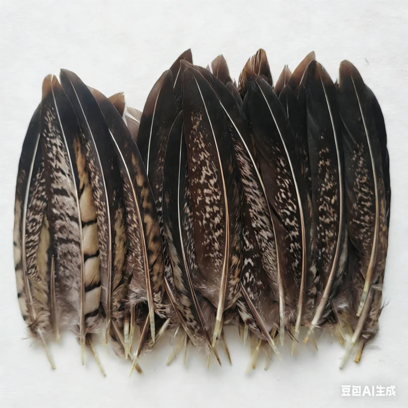Image: Lot de 10 Plumes de queue de faisan Lady Amherst de 10-15m, en vrac, pour la vente en gros, la création de bijoux DIY et la décoration de spectacles