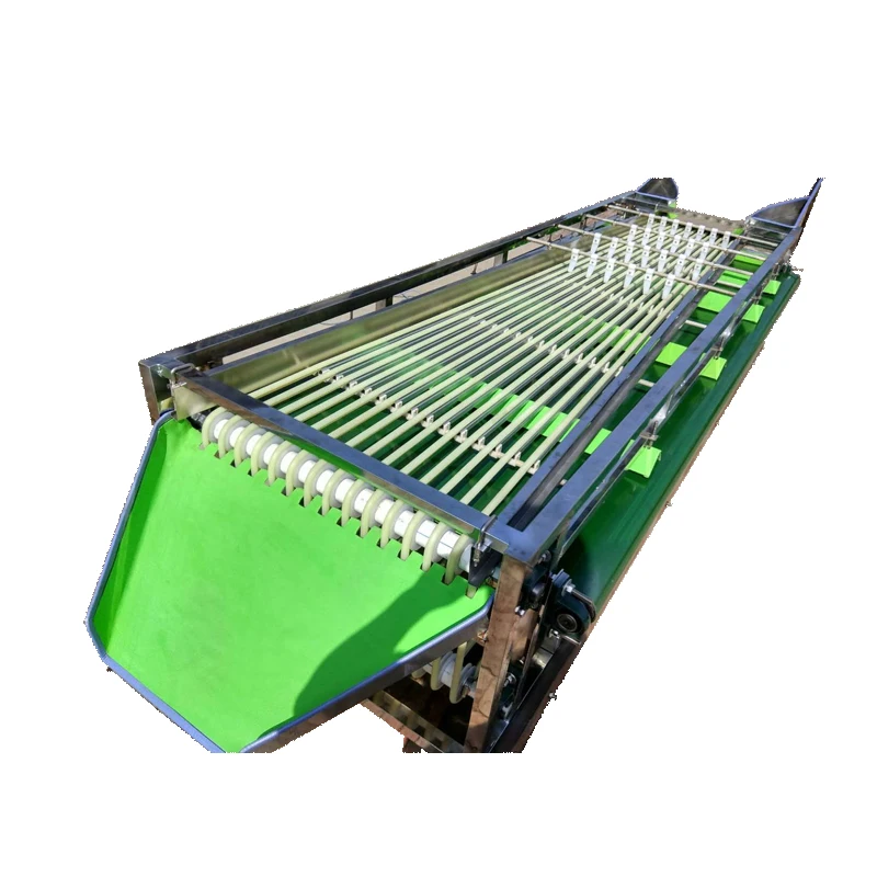 High Quality Fruit Calibrator with Gear Engine Motor Bearing Core Components