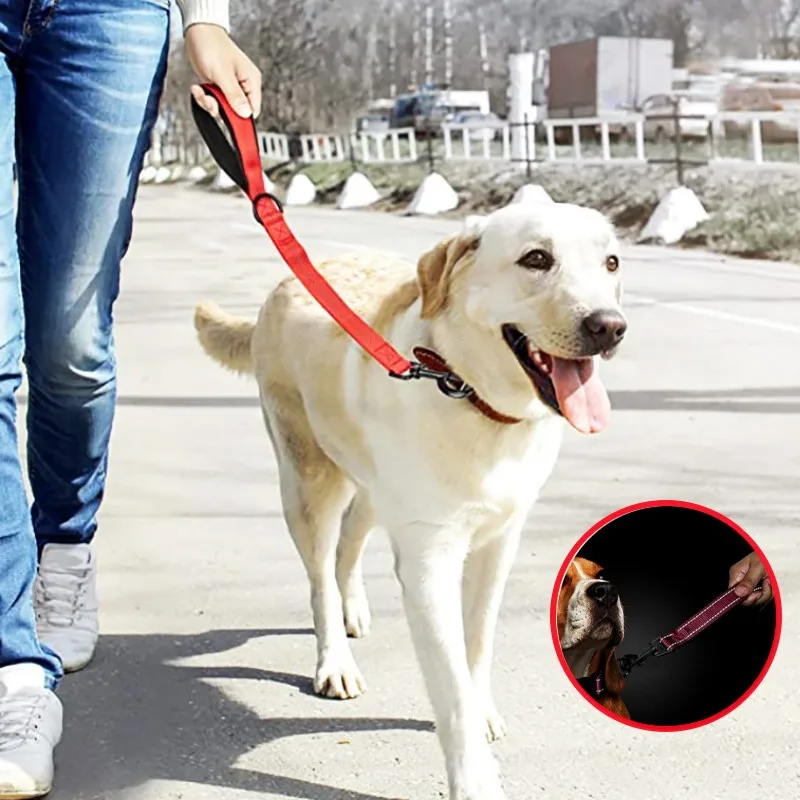 Correa de nailon para perro grande, cadena reflectante acolchada y cómoda de 60cm, ideal para pasear en un solo paso