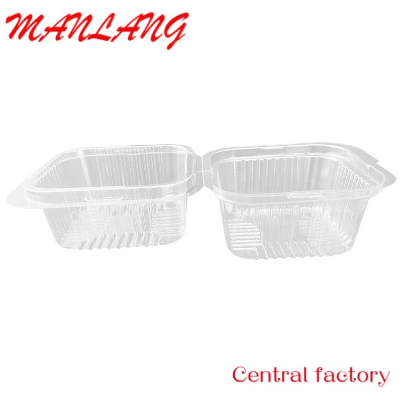 Custom  Takeaway Fast Food Clamshell Containers Food Packaging Plastic Pet Transparent ROSIN Hamburger Packaging Box