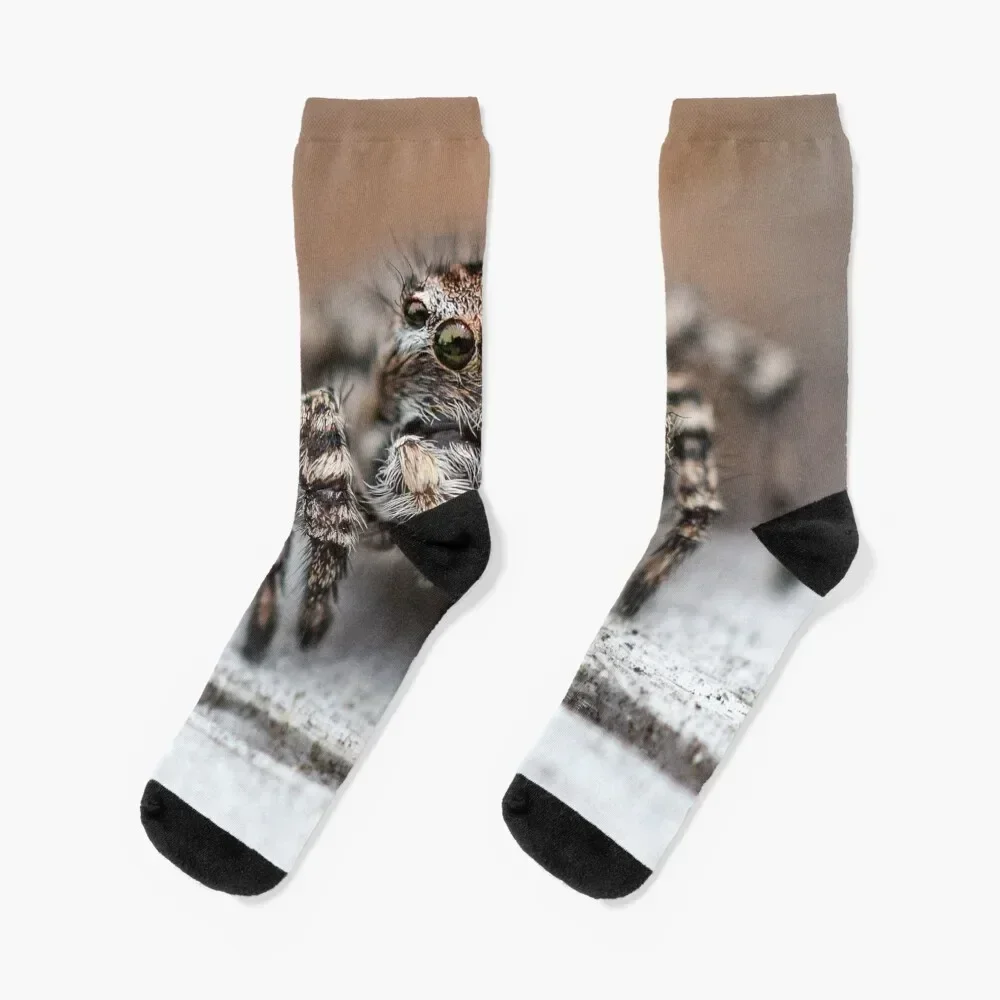 Cute Jumping Spider Macro - Jumping Spider Lovers Gift Socks designer brand bright garter aesthetic Socks Men Women's