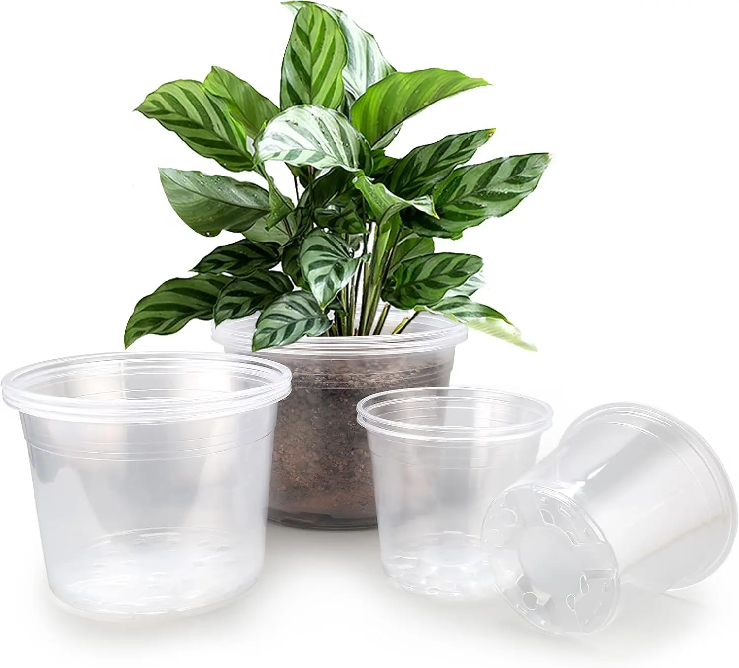 

7/8/10 Inch Large Clear Nursery Pots with Drainage, 9 Pack Plastic Pots for Plants, Clear Plant Seedling Pots for Indoor