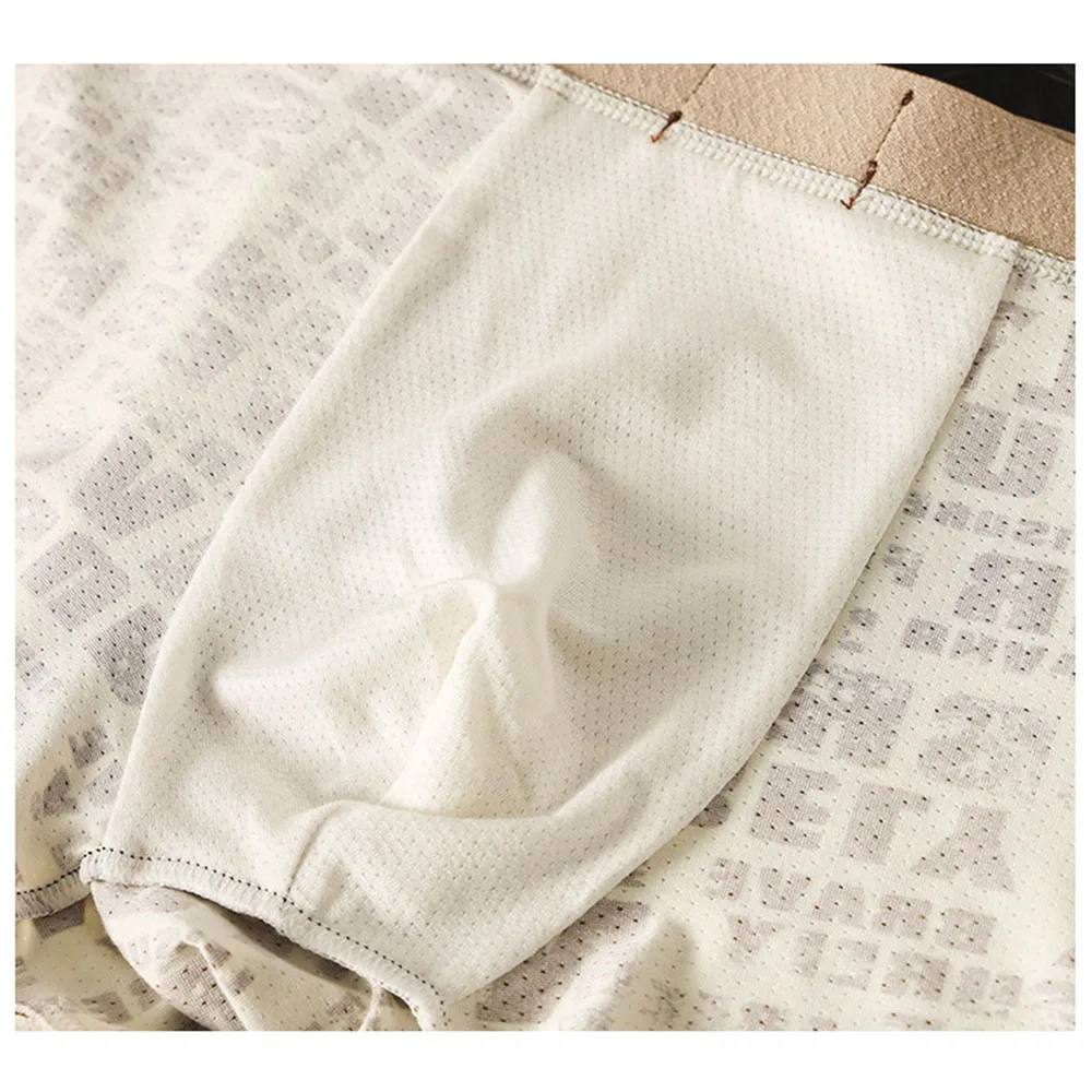 10Pcs/Lot Men's Ice Silk Boxers Summer Mesh Quick Dry Underwear Breathable Elastic Letter Print Mid Waist Soft Comfort Male Pant