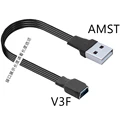 V3F-AMST