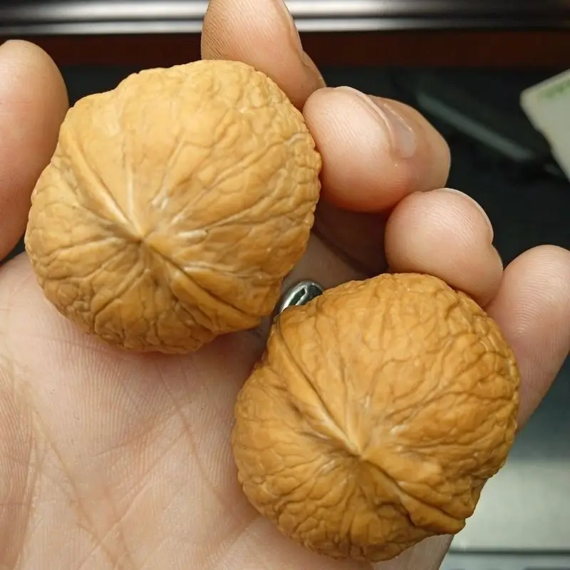 Yunnan Iron a type of ornamental walnut used for handicrafts comes in wild varieties with snake-patterned golden-egg-l
