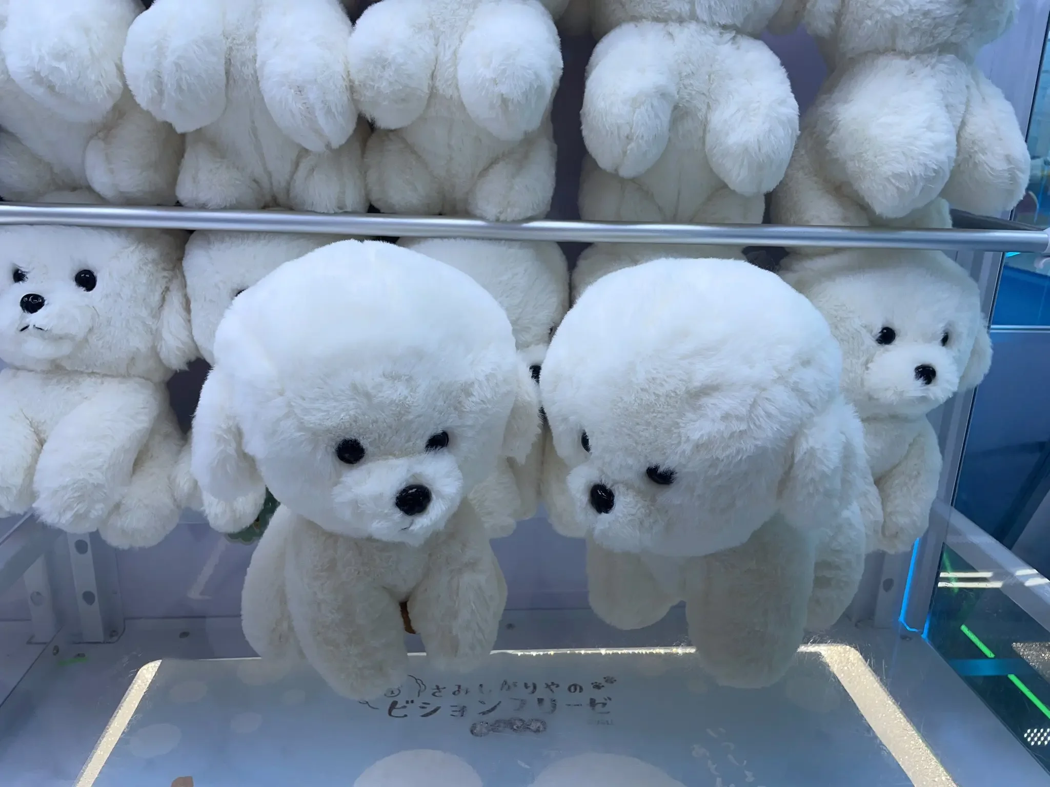 Bichon Frize de animales de peluche, peluches suaves y esponjosos, lindos, kawaii, redondos, blancos, grandes, 23cm