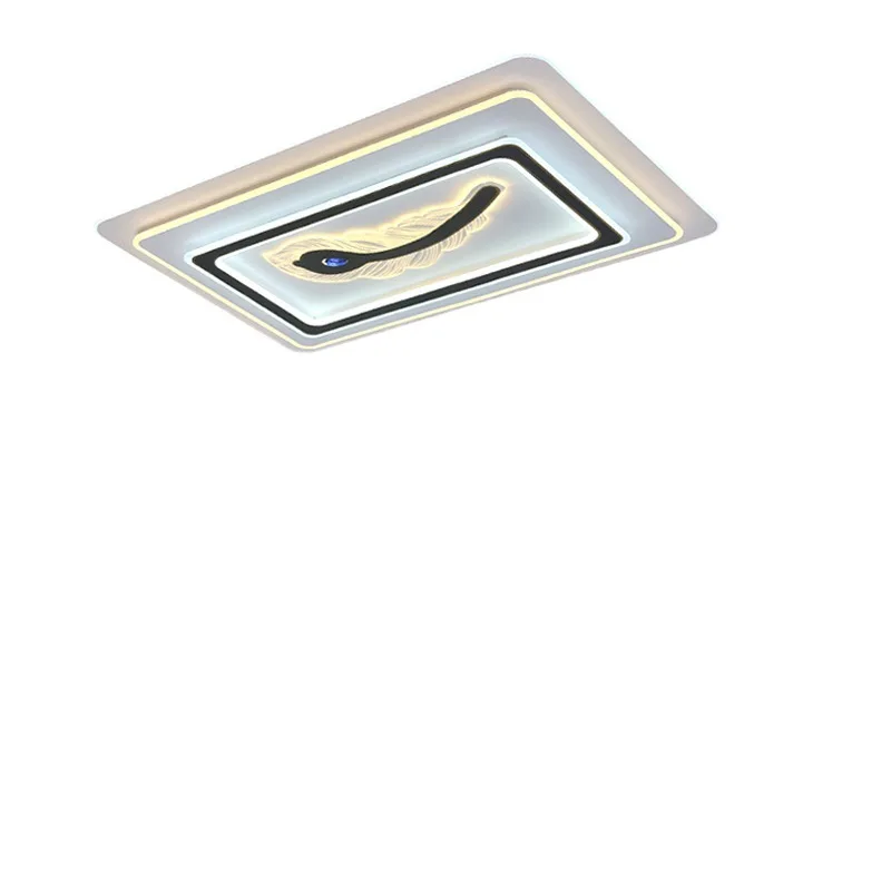 

Living room lamp rectangular single feather, light luxury modern simplicity, ceiling lamp