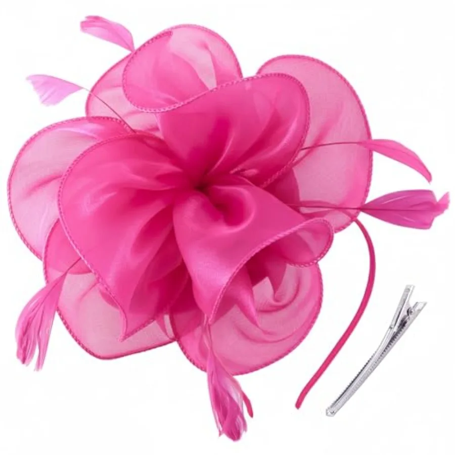 DRESHOW Fascinators Hat Tea Party Headwear Ribbons Feathers on a Headband and a Clip for Women