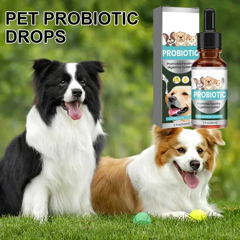 Probiotic For Dogs 60ml Digestive Enzyme Non-Greasy Natural Formula Professional Cat Probiotics Digestive Health Support