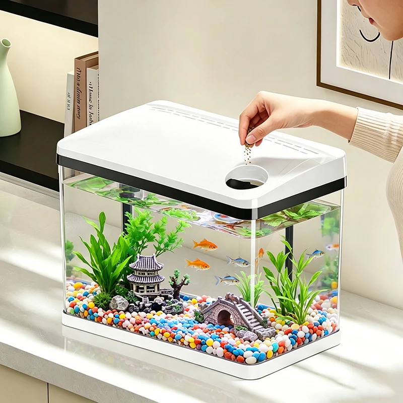 Thumbnail 4 - #22 Discounted Desktop Fish Bowls Worth Buying
