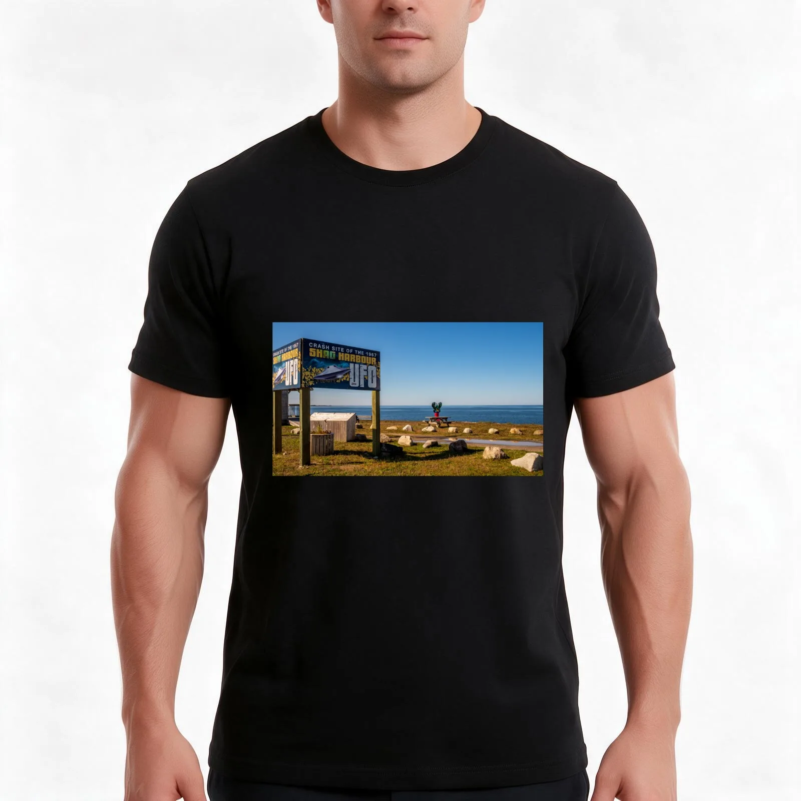 Shag Harbour T-Shirt, Summer Casual Cotton Tee, Oversized Streetwear Tops, Vintage Graphic Print, Loose Fit Short Sleeve