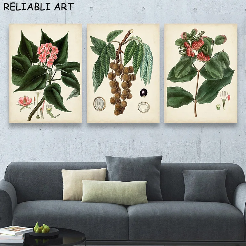 Vintage Watercolor Plant Fruits Poster and Prints Canvas Painting Wall Art Pictures for Kitchen Living Room Home Decor No Frame
