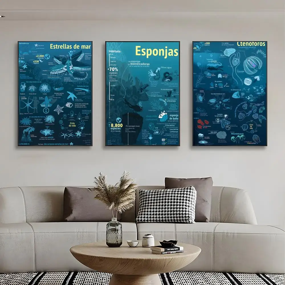 Enigmatic Fascinating M-Mysterious Marine Creatures Poster High-definition stickers ideal gifts for living rooms hallways