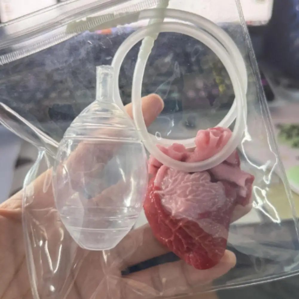 Giocattolo a forma di cuore Fiore cerebrale simulato Giocattolo di scherzo orribile di Halloween Allevia l'ansia Sfiato Stress Giocattolo di organo finto