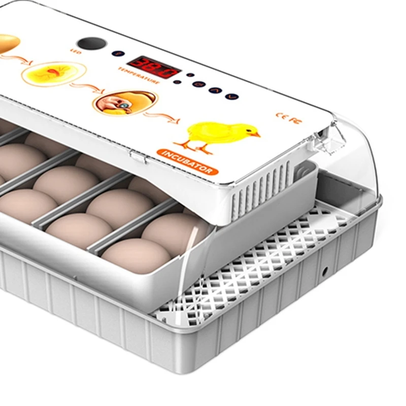 20 Pcs Eggs Incubator Mini Eggs Incubator Household Automatic Incubator Farm Chicken Bird Incubator US Plug