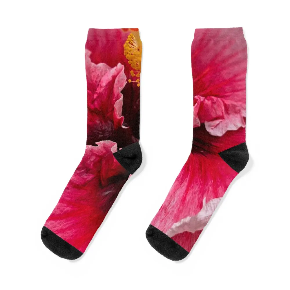 

Pink Hibiscus rosa-sinensis Socks sports and leisure loose Socks For Girls Men's
