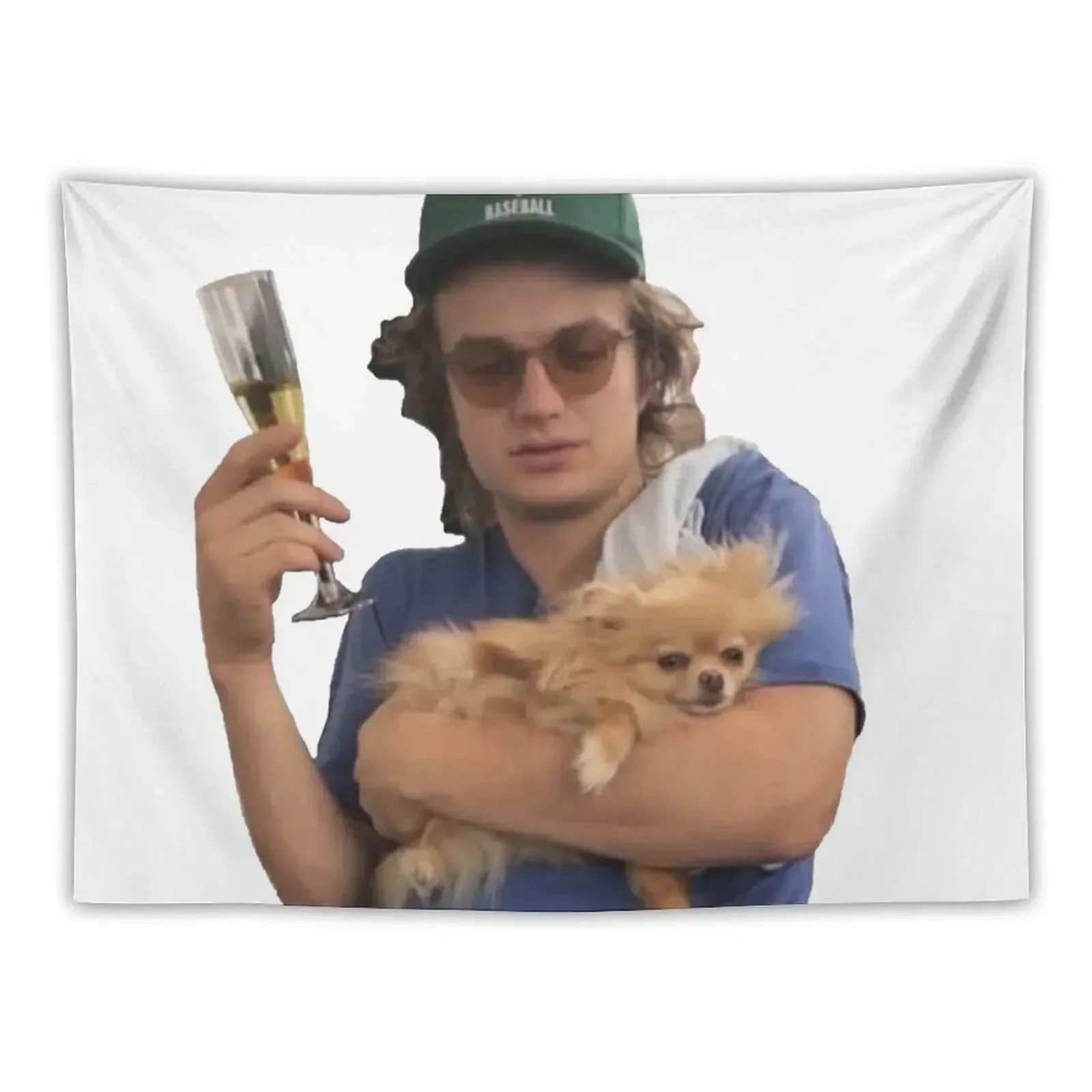 

Joe Keery Tapestry Decorations For Room Decorative Wall Mural Wall Decoration Aesthetic Room Decor Korean Tapestry