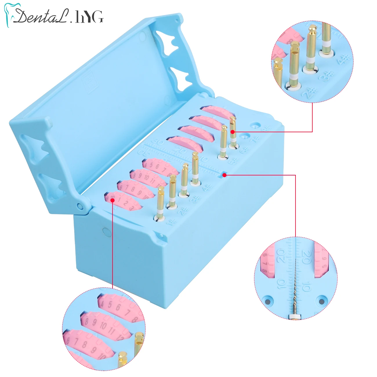 8Holes Dental Root Endo Files Holder Ruler Burs Box Endo Block Organizers Endodontic File Drill Stand Clinic Instrument