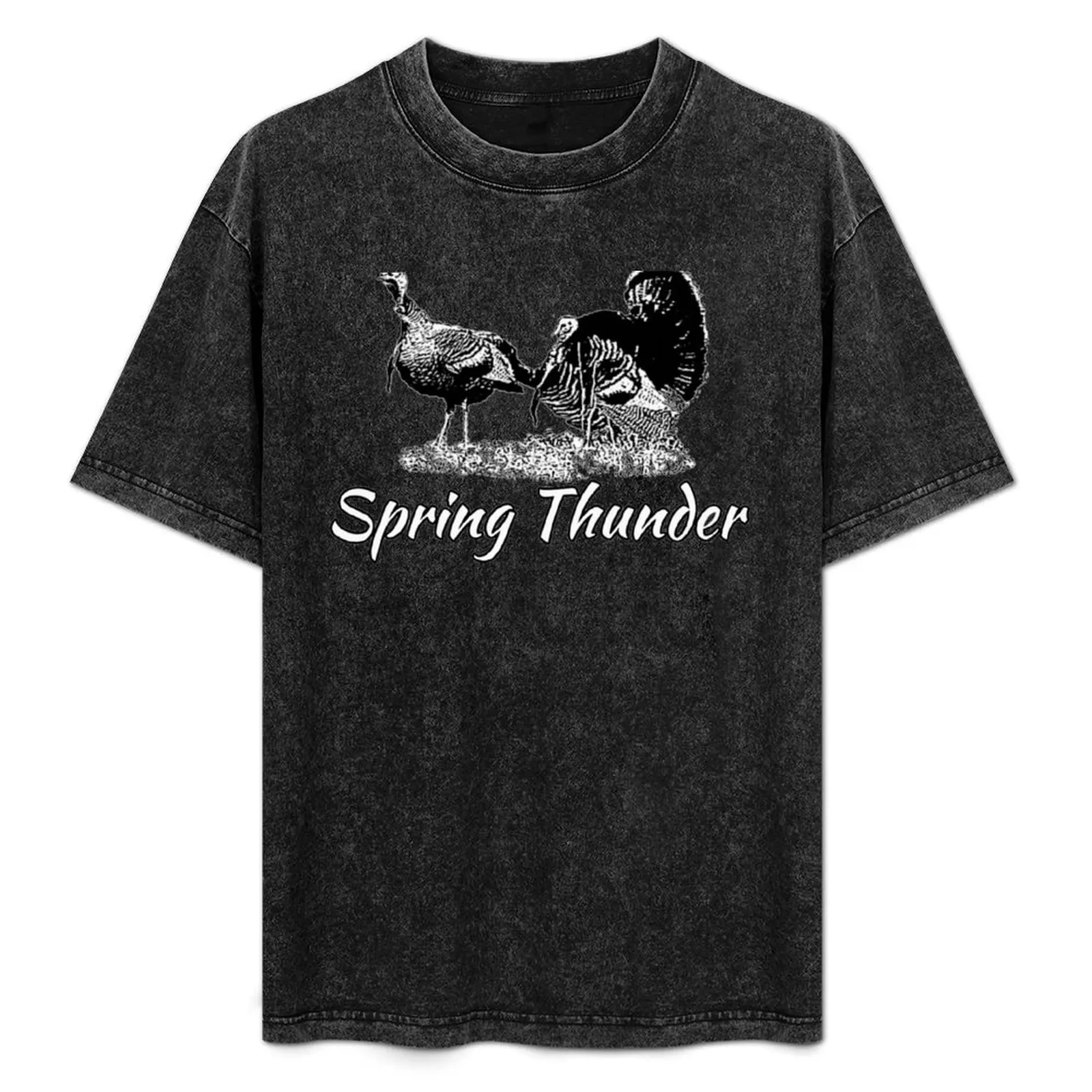 

Spring Thunder T-Shirt anime stuff Short sleeve tee anime clothes vintage clothes t shirt men
