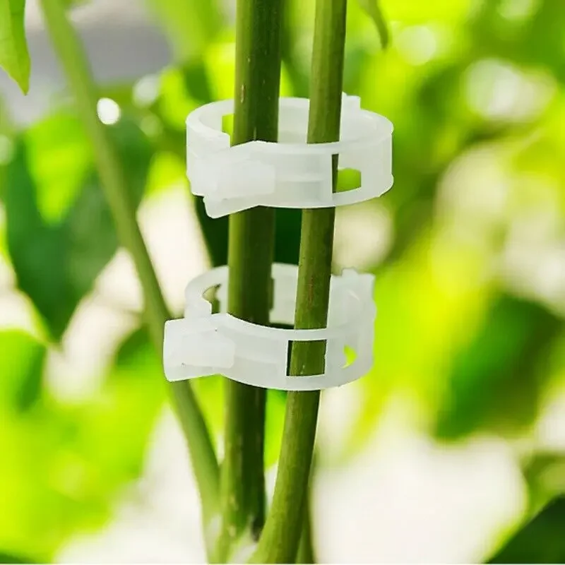 Anlage Unterstützung Clips für Garten Tomaten Gemüse Reben Aufrecht und Machen Pflanzen Schnur Clips Reben, Bohnen, Gemüse, obst, Rose.