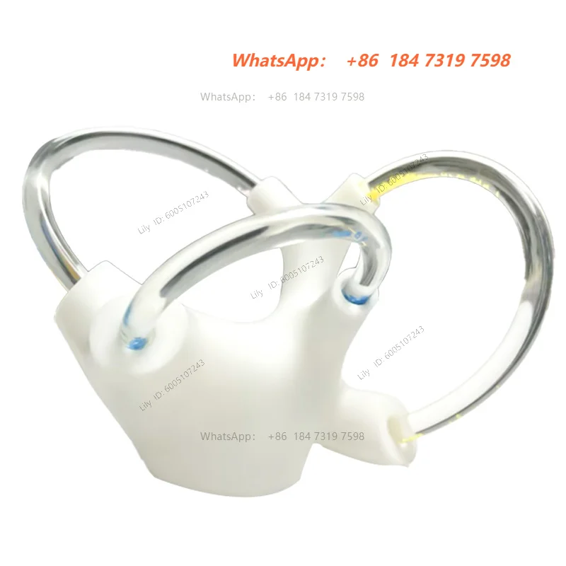 3D Half Canal Otolith Dynamic Model Aids Skeleton Cochlea Inner Ear Structure Brain Nerve Vestibular Rehabilitation Accessories