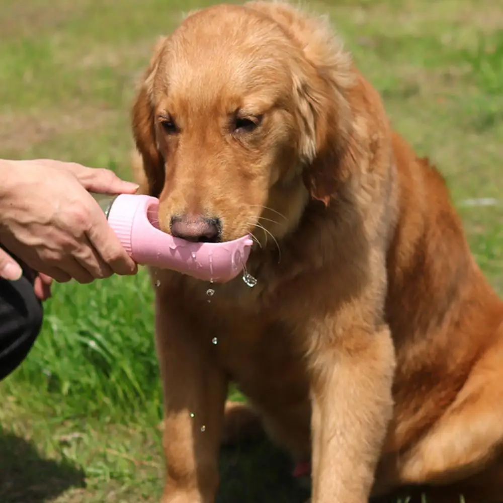 Botella a prueba de fugas para perros y gatos, agua con comida - imagen 2