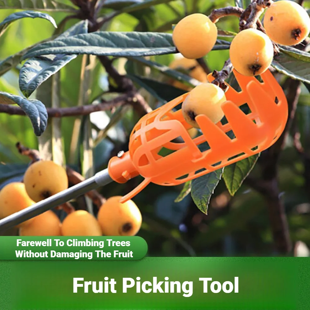 Cesto Coletor de Frutas de Plástico Multicolorido com Cabeça Profunda, Ferramenta Conveniente para Colheita de Maçã, Pêssego, Bayberry, Jujuba e Vegetais em Fazendas