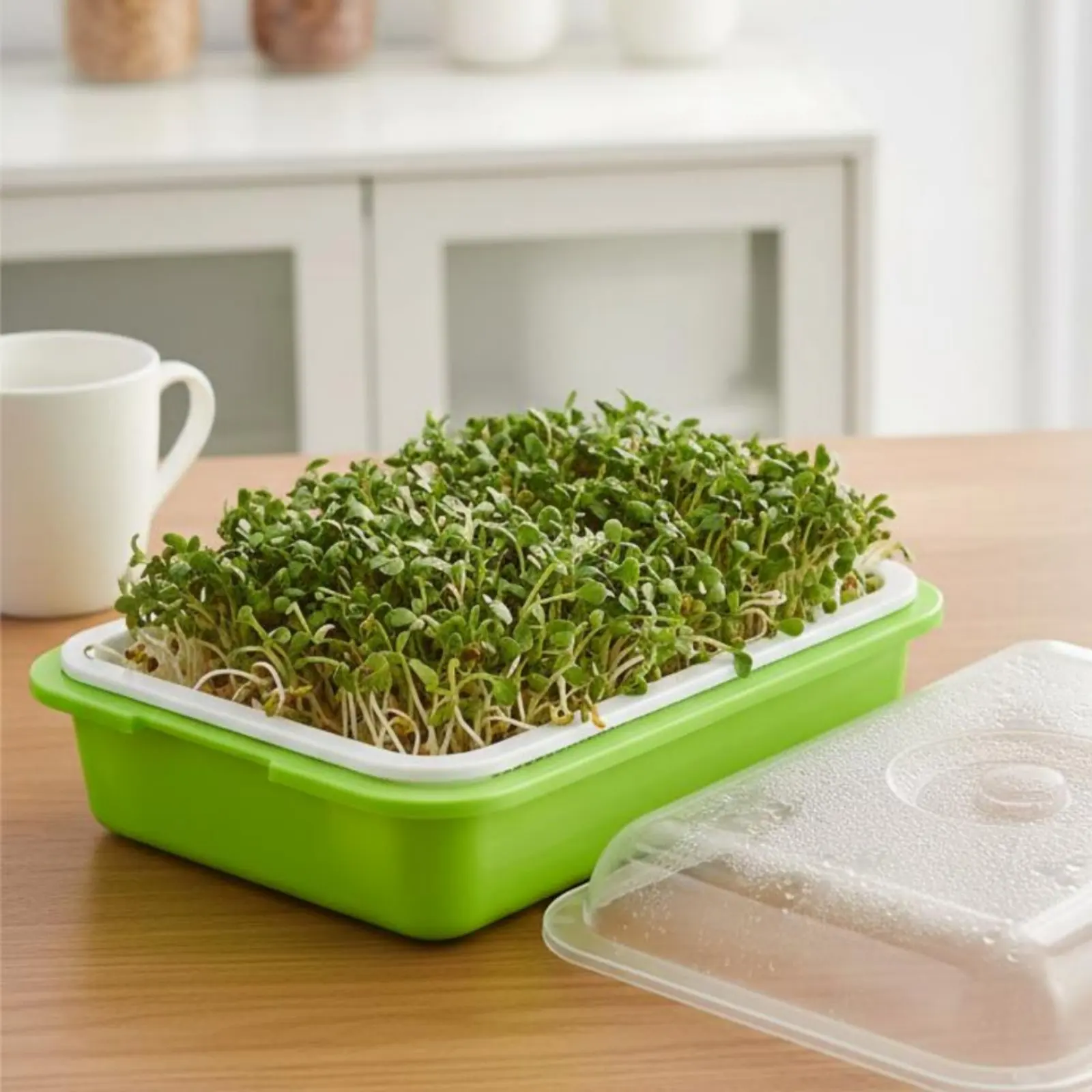 Bandeja de germinación de semillas con tapa, bandeja de cultivo de microvegetales de malla densa, plato de germinación de doble nivel, material PP para interiores