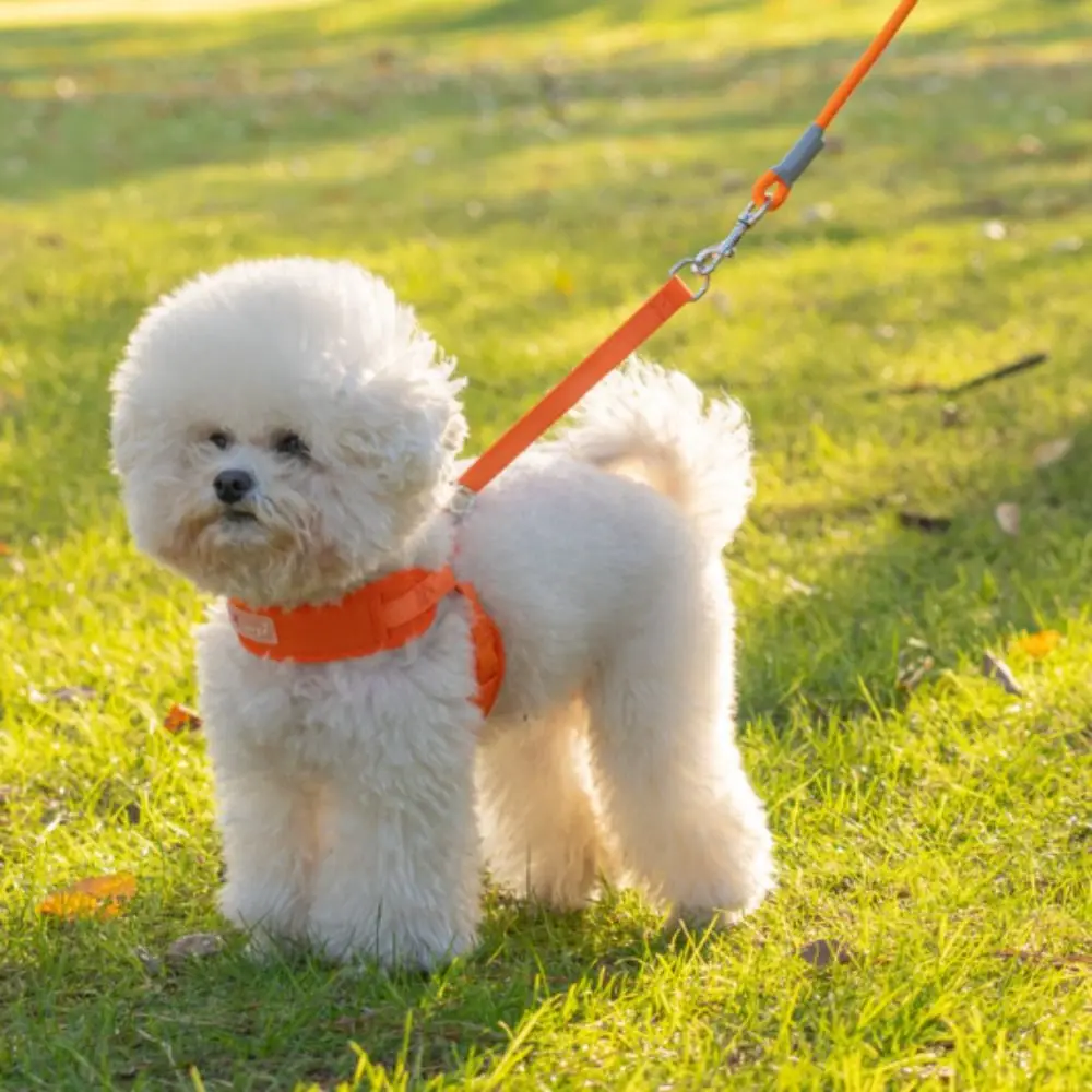 

Adjustable Dog Harness Vest Comfortable Prevent Breaking Free Dog Leash Breathable Puppy Chest Strip Outdoor Walking