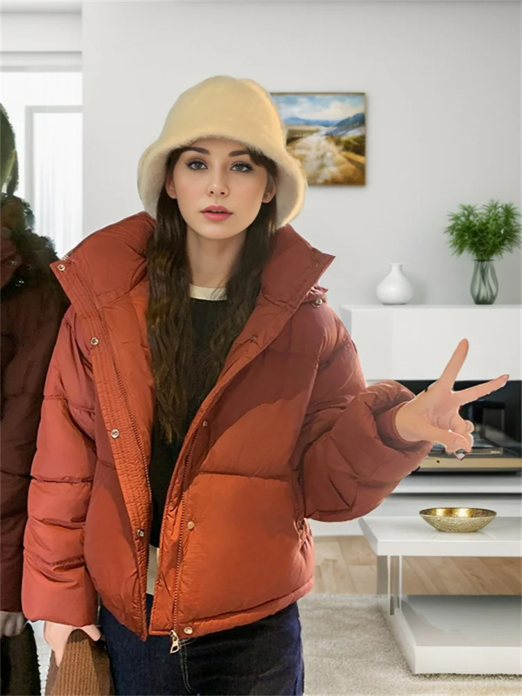 2024 Winter New Down Cotton Women\'s Jacket Korean Version Of Stand-Up Collar Hooded Loose And Thickened Stylish Thermal Coats