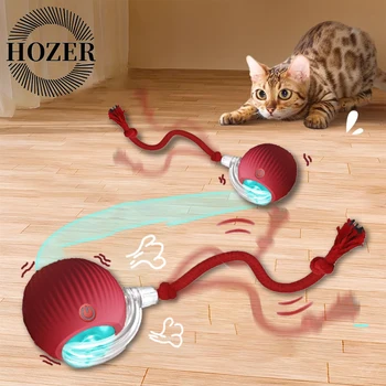 Automatic Interactive Cat Ball 1