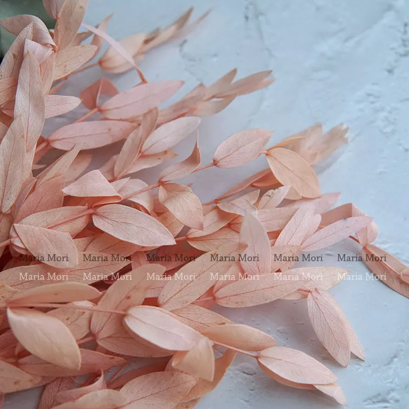 10g Preserved Small Leaf Eucalyptus Wedding Decoration Scented Candles Epoxy Handmade DIY Material